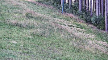 Ski areál U Sachovy studánky
