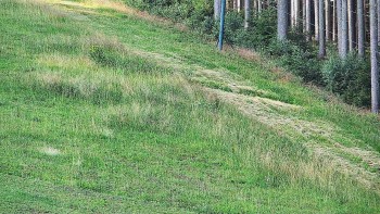 Ski areál U Sachovy studánky