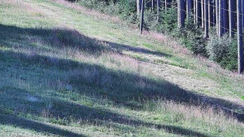 Ski areál U Sachovy studánky
