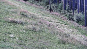 Ski areál U Sachovy studánky