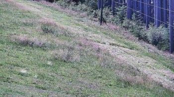 Ski areál U Sachovy studánky