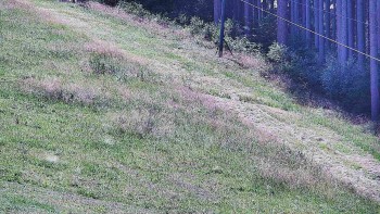 Ski areál U Sachovy studánky