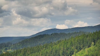 Ski areál U Sachovy studánky