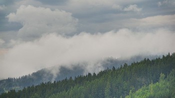 Ski areál U Sachovy studánky