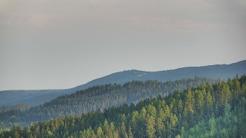 Ski resort at Sach's spring