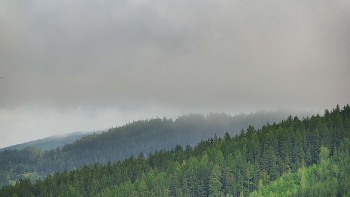 Ski areál U Sachovy studánky