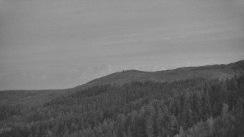 Ski areál U Sachovy studánky