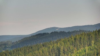 Ski areál U Sachovy studánky
