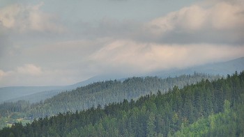 Ski areál U Sachovy studánky