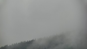 Ski areál U Sachovy studánky