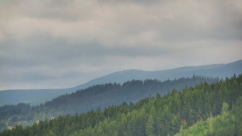 Ski areál U Sachovy studánky