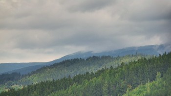 Ski areál U Sachovy studánky