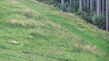 Ski areál U Sachovy studánky
