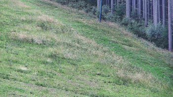 Ski areál U Sachovy studánky