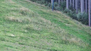 Ski areál U Sachovy studánky