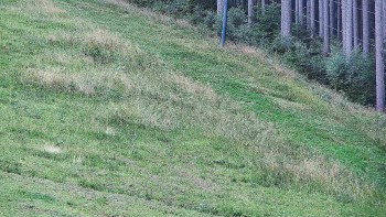Ski areál U Sachovy studánky