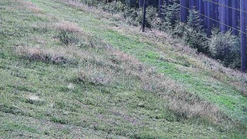 Ski areál U Sachovy studánky