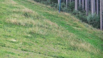 Ski areál U Sachovy studánky