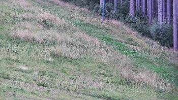 Ski areál U Sachovy studánky