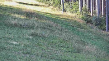 Ski areál U Sachovy studánky