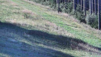 Ski areál U Sachovy studánky