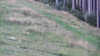 Ski areál U Sachovy studánky