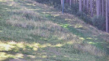 Ski areál U Sachovy studánky