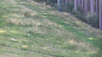 Ski areál U Sachovy studánky