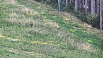 Ski areál U Sachovy studánky