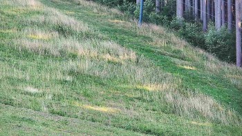 Ski areál U Sachovy studánky