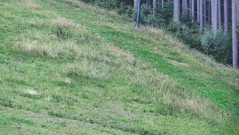 Ski areál U Sachovy studánky