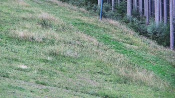 Ski areál U Sachovy studánky