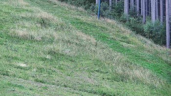 Ski areál U Sachovy studánky