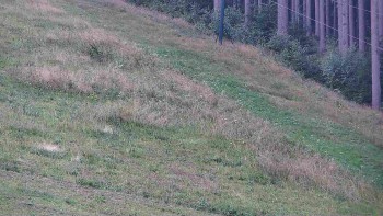 Ski areál U Sachovy studánky