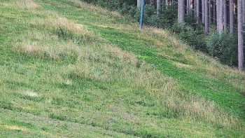 Ski areál U Sachovy studánky