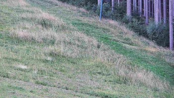 Ski areál U Sachovy studánky