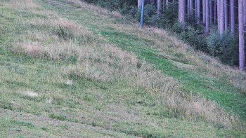 Ski areál U Sachovy studánky