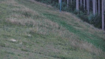 Ski areál U Sachovy studánky