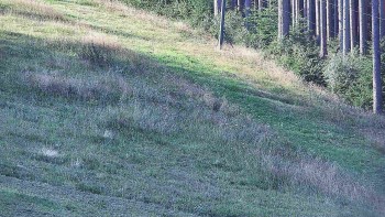 Ski areál U Sachovy studánky