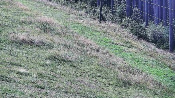 Ski areál U Sachovy studánky