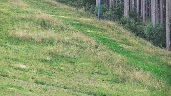 Ski areál U Sachovy studánky