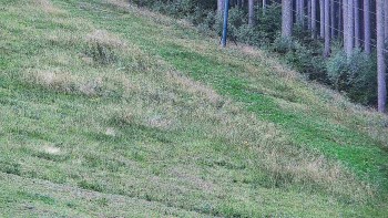 Ski areál U Sachovy studánky