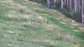 Ski areál U Sachovy studánky