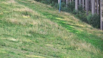 Ski areál U Sachovy studánky