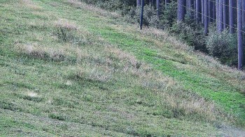 Ski areál U Sachovy studánky