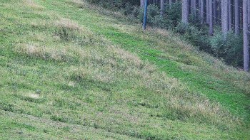 Ski areál U Sachovy studánky