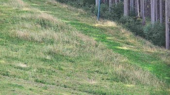Ski areál U Sachovy studánky