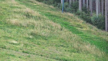 Ski areál U Sachovy studánky