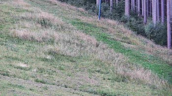 Ski areál U Sachovy studánky