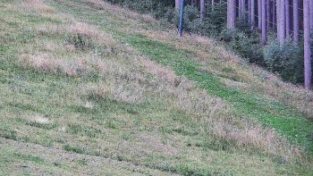 Ski areál U Sachovy studánky